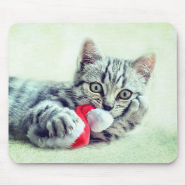 Julkatt Musmatta