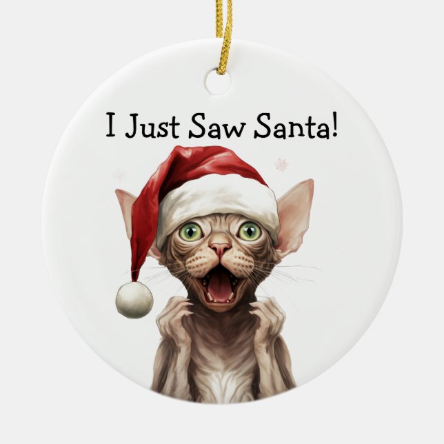 Julkatt Ornament (Framsidan)