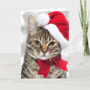 Julkatt på röda santas hatt helgkort