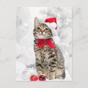 Julkatt vid Red Santa's Hat Near-Jul Helg Vykort