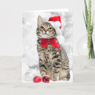 Julkatt vid Red Santa's Hat Near-Jul Helgkort