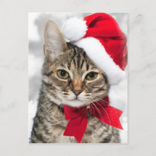 Julkatt vid rödtomtens hatt helg vykort