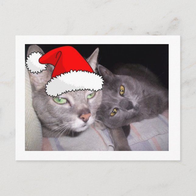 Julkatten Helg Vykort (Framsida)