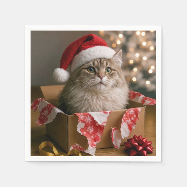 Julkatten i en låda pappersservett (Framsidan)