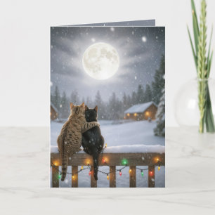Julkatten kramas på ett snöigt staket kort
