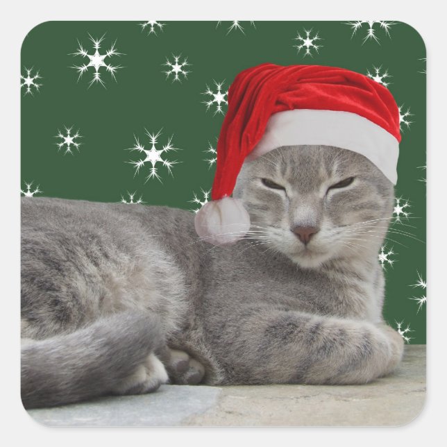 Julkatten Stickers Fyrkantigt Klistermärke (Framsida)