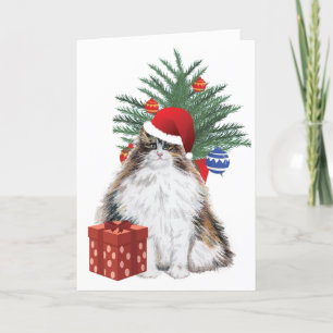 Julkatts julkort helgkort