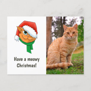 Julkattsfoto Helg Vykort