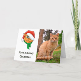Julkattsfoto Helgkort