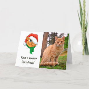 Julkattsfoto Helgkort