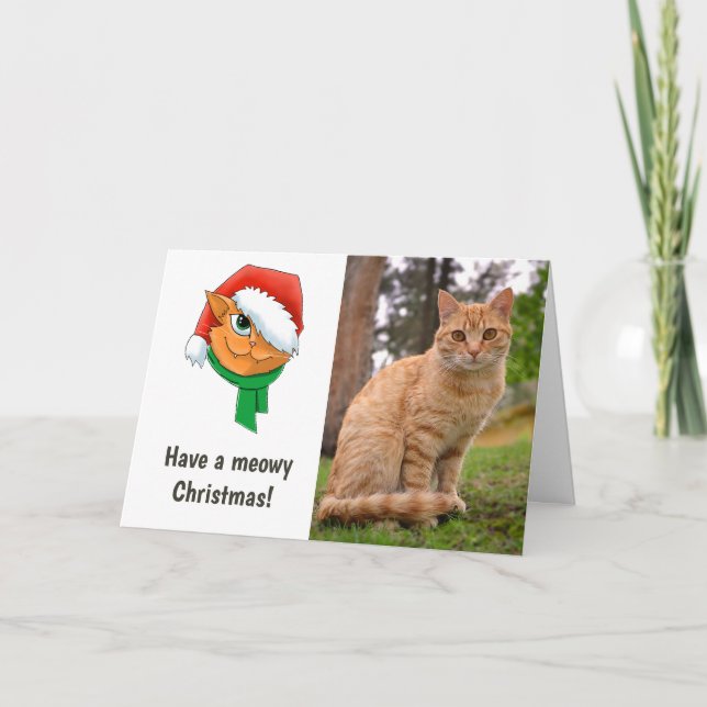 Julkattsfoto Helgkort (Framsida)