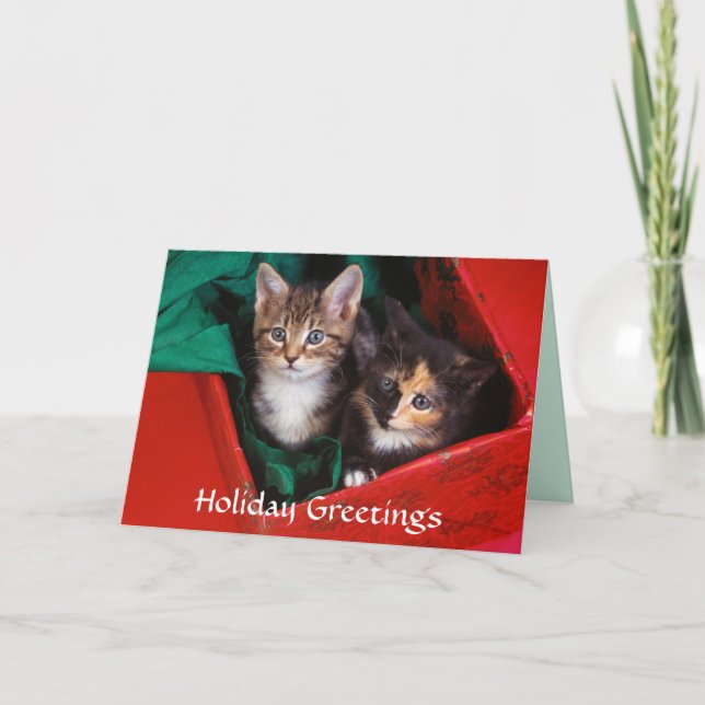 Julkattungar Helgkort (Framsida)