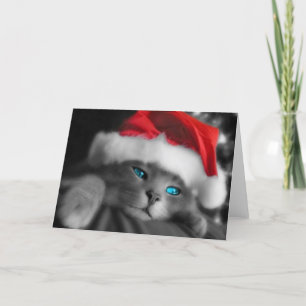 Julkattunge Helgkort