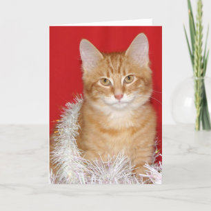 Julkattunge Helgkort
