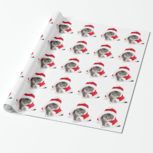 Julkattunge i Santa klöser hatten som slår in Presentpapper