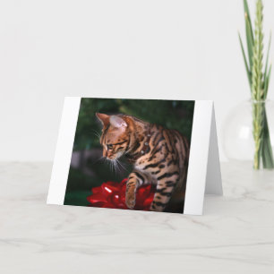 Julkattungefoto (den inhemska Bengal katten) Helgkort