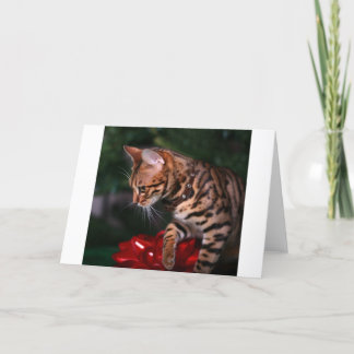 Julkattungefoto (den inhemska Bengal katten) Helgkort