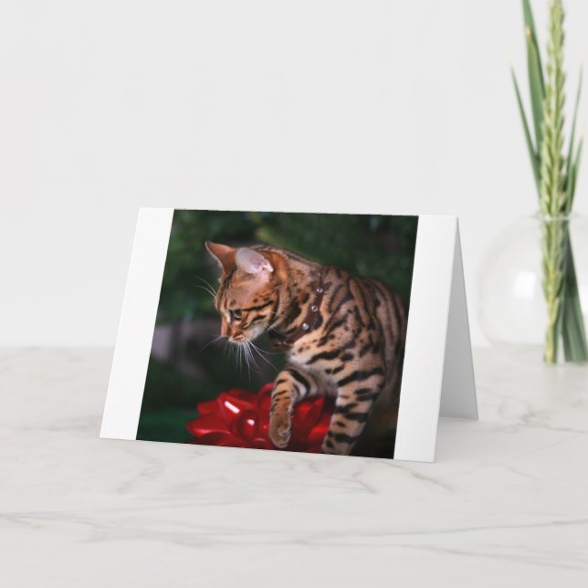 Julkattungefoto (den inhemska Bengal katten) Helgkort (Framsida)