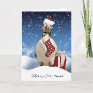julklapp med Puffin Stock and Gif Helgkort