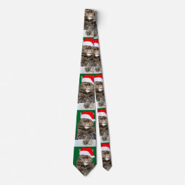 Julklat Humbug Photo med Santa Hat Slips
