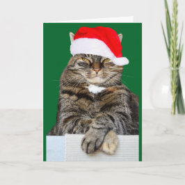 Julklatt Humbug Photo Greeting Card Helgkort