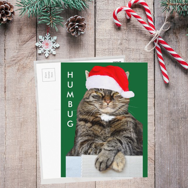 Julklatt Humbug Photo Postcard Helg Vykort (Christmas Cat Humbug Photo Postcard)