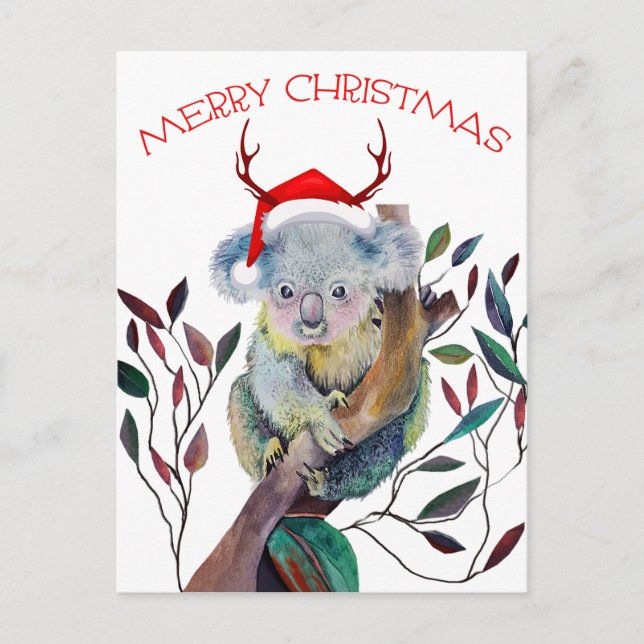 Julkoala som bär tomteluva    vykort (Framsida)
