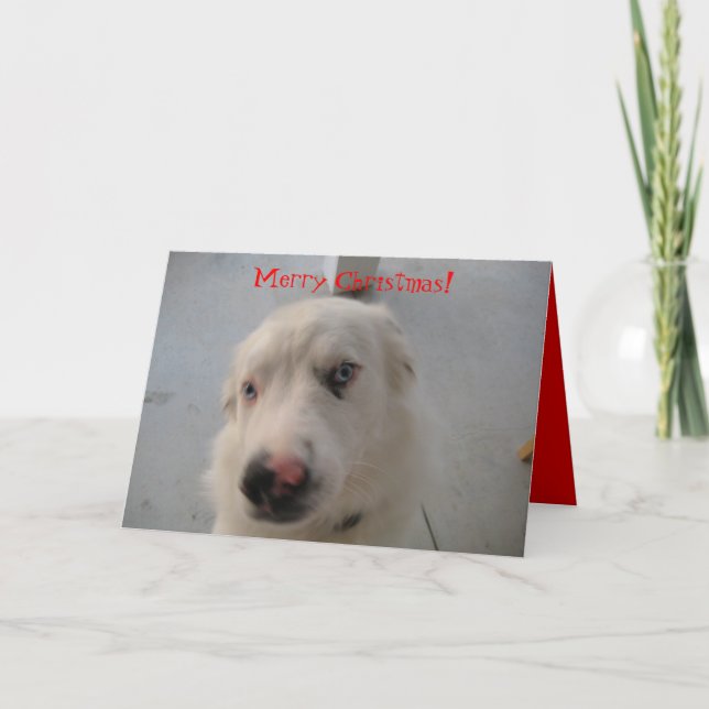 Julkort 07 helgkort (Framsida)