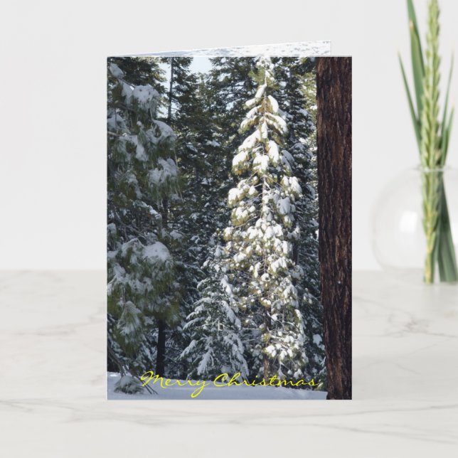 Julkort 2006 helgkort (Framsida)