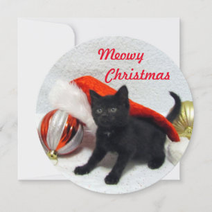 Julkort - Cute Cat Pic