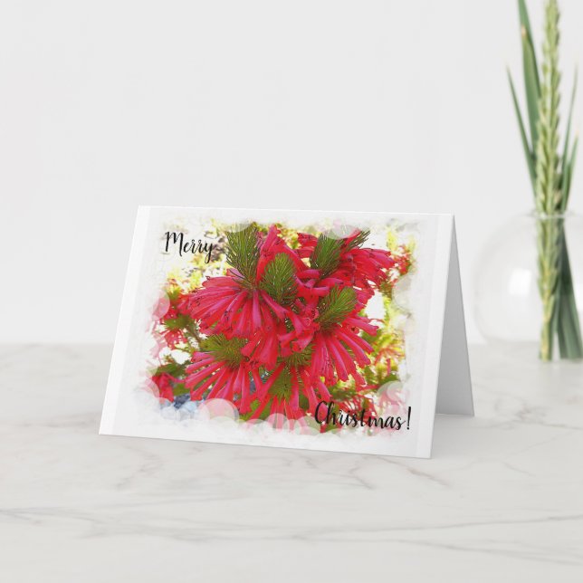 Julkort - Erica Flowers Kort (Framsida)