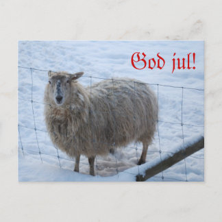 Julkort - Fåret Fjun Vykort
