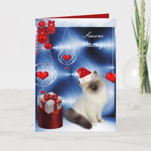 Julkort Fluffig Vit Grå Katt Helgkort
