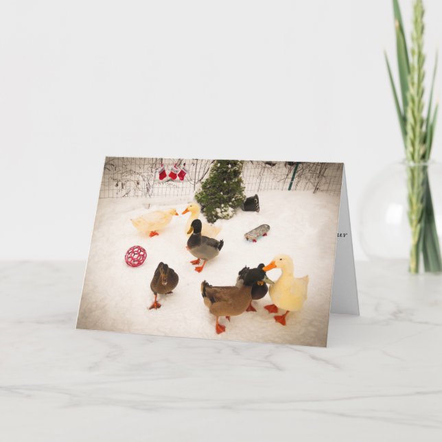 Julkort för ankajulparty helgkort (Framsida)