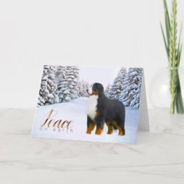 Julkort för Bernese berghund Helgkort