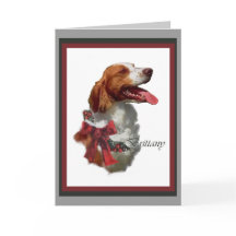 Julkort för Brittany Spaniel
