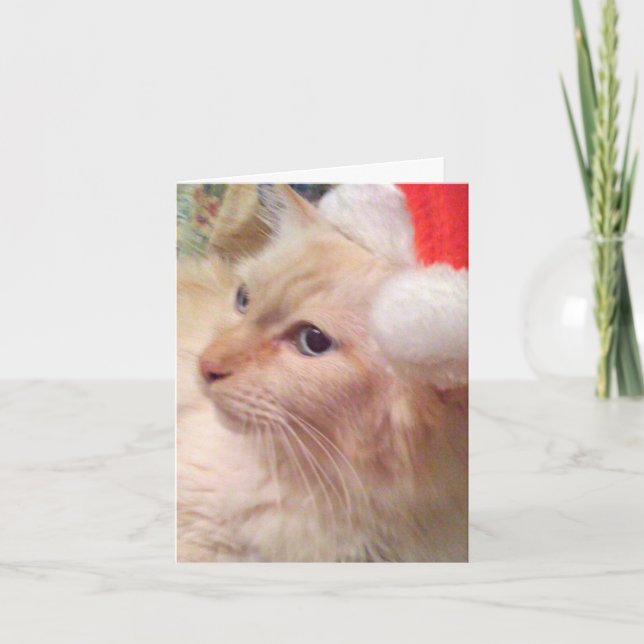 Julkort för Cokie kattSm Helgkort (Framsida)
