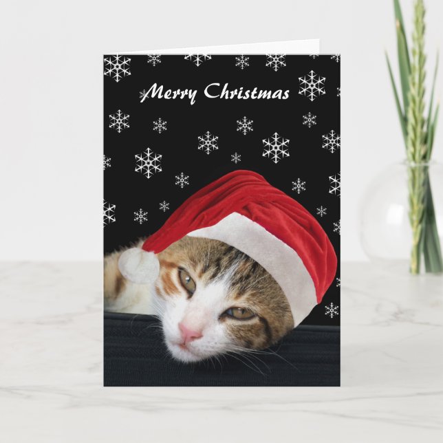 Julkort för Cute Cat Helgkort (Framsida)