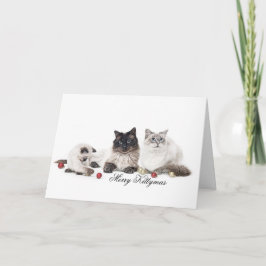 Julkort för familjen Ragdoll Helgkort