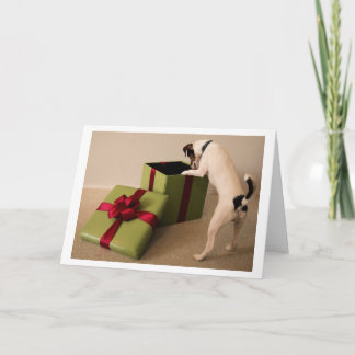 Julkort för jackRussell Terrier Helgkort