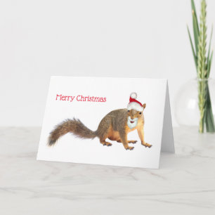 Julkort för julekret i Santa Squirrel Helgkort