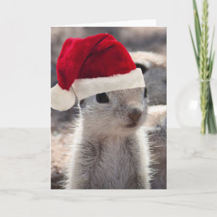 Julkort för julekret i Santa Squirrel Helgkort