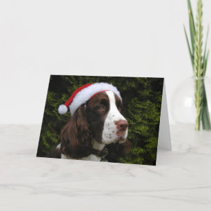 Julkort för julSpringerSpaniel Helgkort