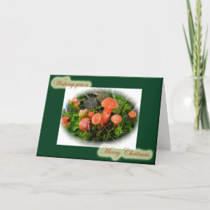 Julkort för ljussvampar helgkort