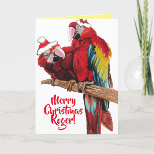 julkort för Red Parrot-julkort för Santa Macaws Kort