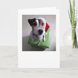 Julkort för Santa jackRussell Terrier Helgkort