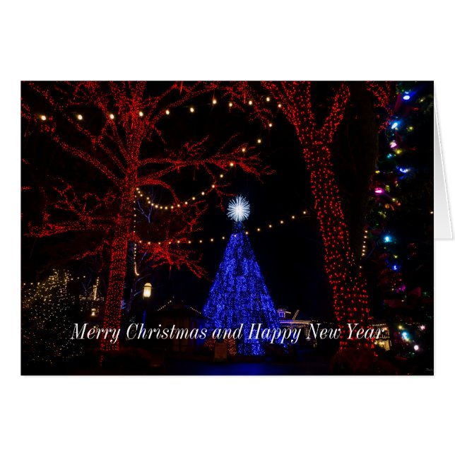 Julkort för Silver-dollar OBS Kort (Framsidan Horizontal)