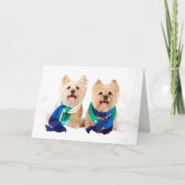 Julkort för två röseTerriers Helgkort