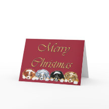 Julkort för valpar i australian shepherd