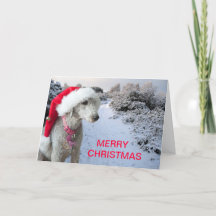 Julkort